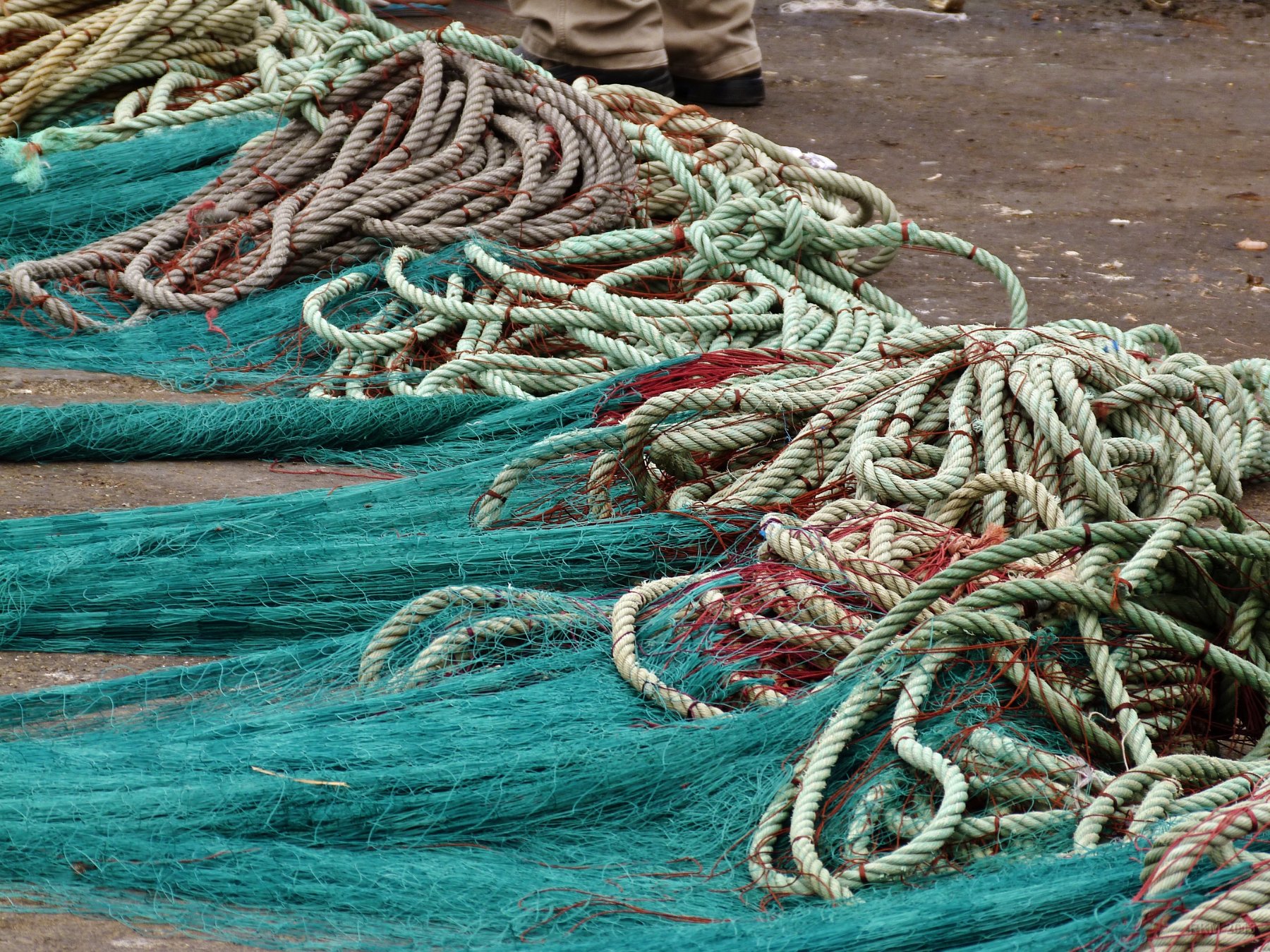 Agadir, Dans le port de pêche